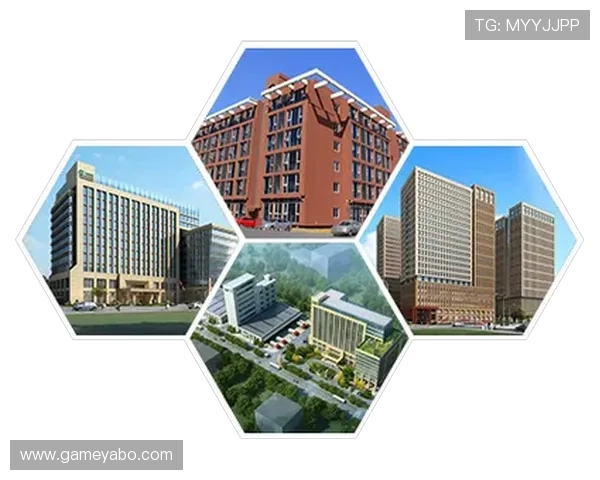 亚博体育集团网址安全保障措施，确保用户信息安全与交易安全的详细说明